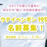 アドベンチャーワールド│スタッフが愛した番号に、あなたの”推し”の名前を重ねて。絶滅危惧種 コウテイペンギン19羽の名前を募集します！［全員プレゼントあり！］