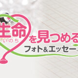 【募集終了】読売新聞社 日本医師会│第3回 生命（いのち）を見つめるフォト&エッセー［賞金10万円/賞金30万円］
