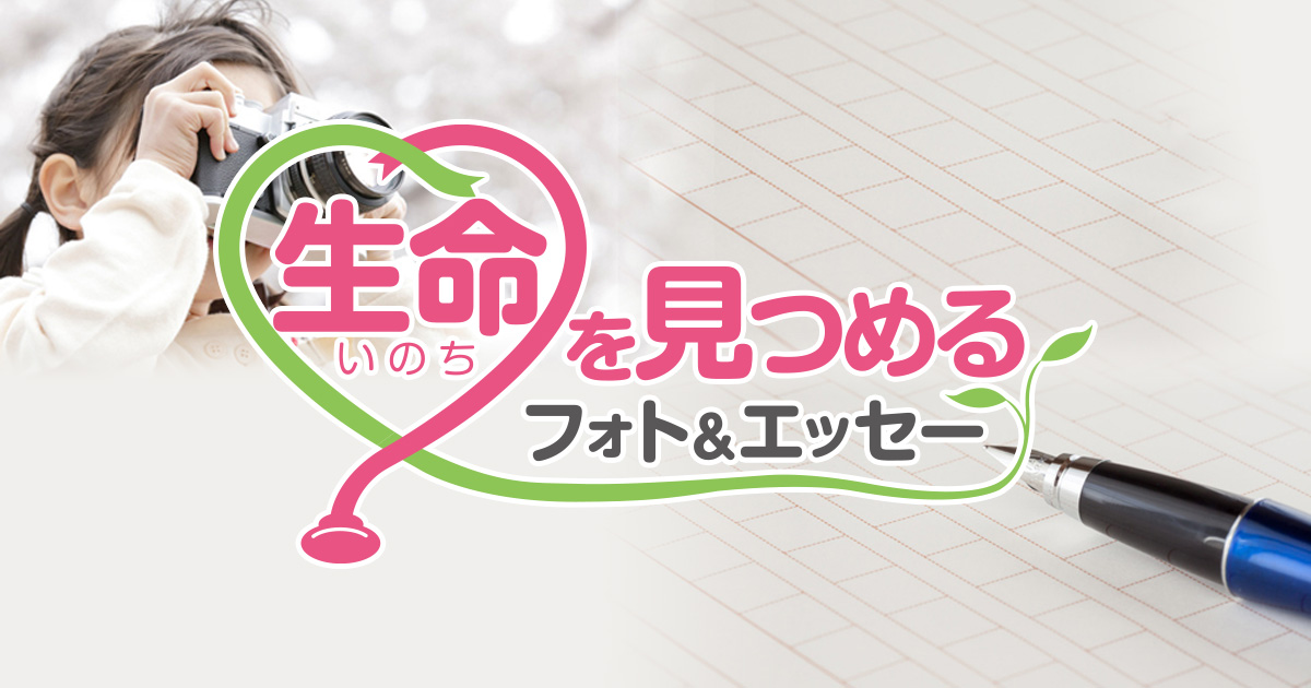 【募集終了】読売新聞社 日本医師会│第3回 生命（いのち）を見つめるフォト&エッセー［賞金10万円/賞金30万円］