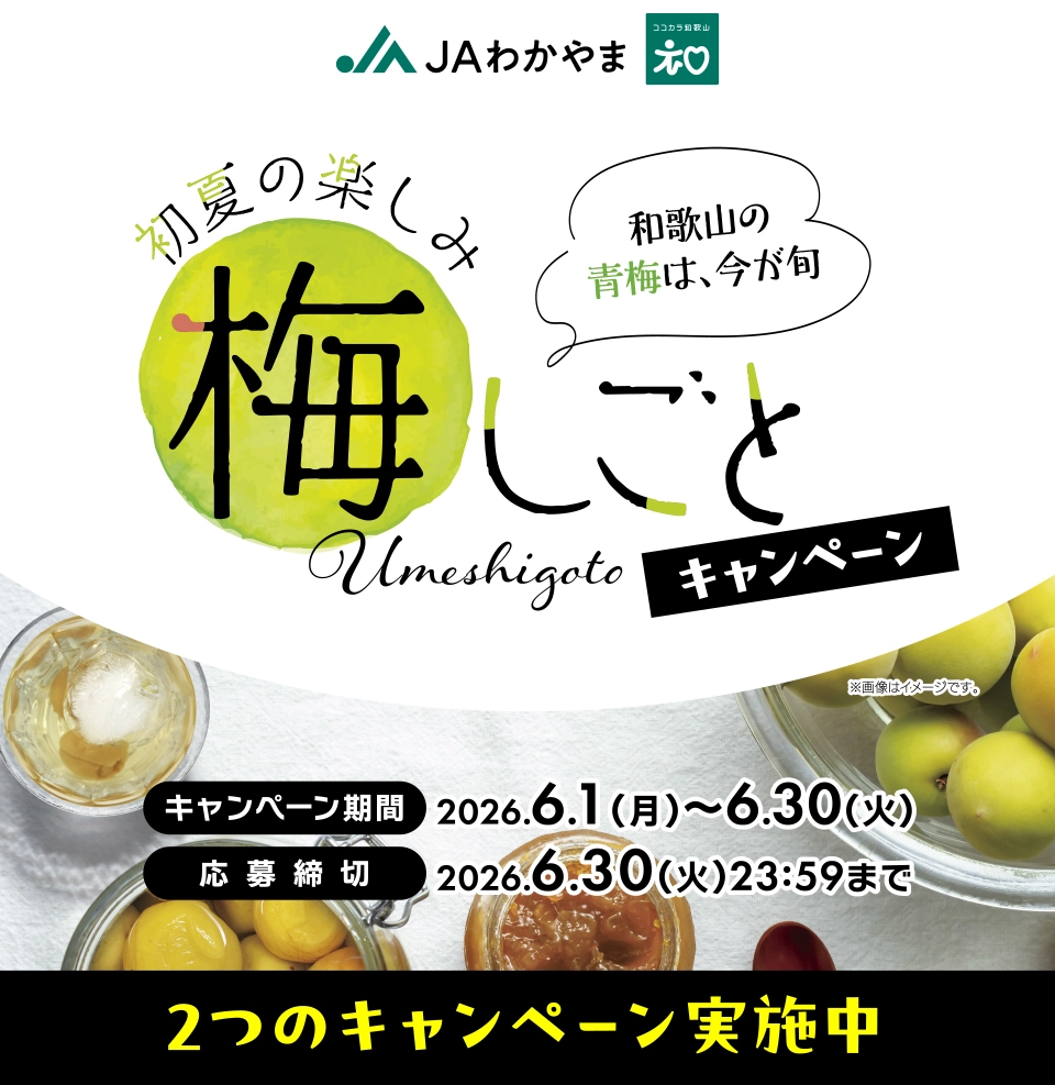【6/30まで!! えらべるPay2,000ポイントほかが当たる!!】JAわかやま│和歌山の梅は今が旬！ 初夏の楽しみ 梅しごとキャンペーン