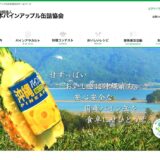 【募集終了】パインアップル缶詰を使った料理作品募集2023［最優秀賞 沖縄ペアの旅2泊3日ご招待］