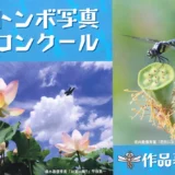 【アマチュア限定公募】佐賀市│第37回 トンボ写真コンクール［最優秀賞 賞状 賞金1万円 トンボカレンダー5部］