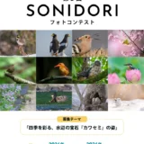 第5回 SONIDORIフォトコンテスト［グランプリ 旅行券3万円 SONIDORIカレンダー2027年版／入賞作品は2027年SONIDORIカレンダーに掲載！］