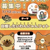 台わんにゃんフェス2026│自慢したいわんにゃんフォト［入賞者にはラディウス製NEKOイヤホンや台湾の網バッグ素敵な賞品をプレゼント！］