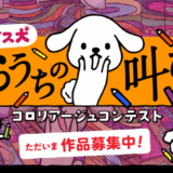 【募集終了】ダスキン│第2回 ダス犬 おうちの叫び コロリアージュコンテスト［グランプリ 賞金10万円］