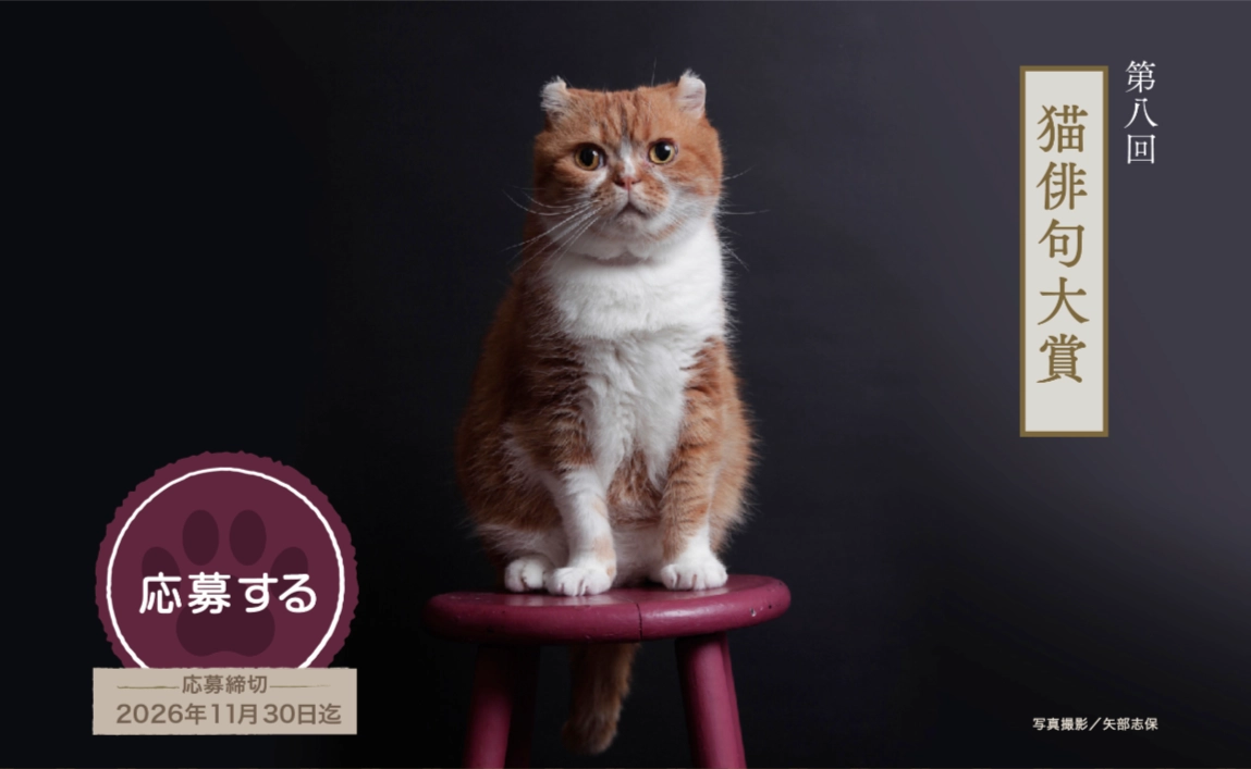 株式会社アドライフ│第8回 猫俳句大賞［大賞 賞状 賞金10万円］