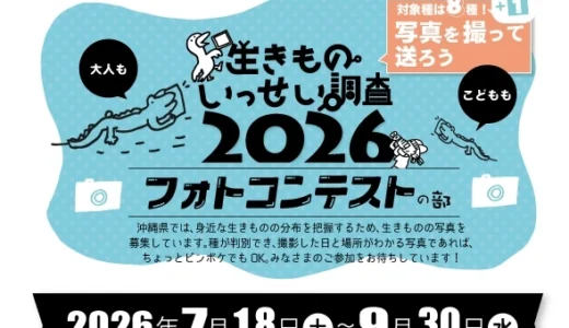 沖縄⽣きものいっせい調査2026 フォトコンテストの部［優秀賞 ギフト券1万円分］