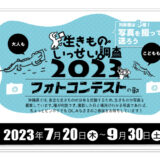 【募集終了】沖縄生きものいっせい調査2023フォトコンテストの部［優秀賞 ギフト券1万円分］