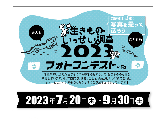 【募集終了】沖縄生きものいっせい調査2023フォトコンテストの部［優秀賞 ギフト券1万円分］