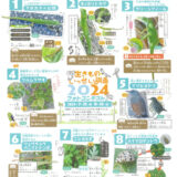 【募集終了】沖縄生きものいっせい調査2024フォトコンテストの部［優秀賞 ギフト券1万円分］