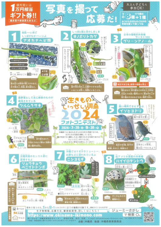 【募集終了】沖縄生きものいっせい調査2024フォトコンテストの部［優秀賞 ギフト券1万円分］