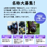 ＼山形を彩る、新しい「なす」が誕生！／ なす新品種「山形N1号」名称大募集！［名称を採用された方には山形県産「つや姫」10kgをプレゼント！］