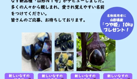 ＼山形を彩る、新しい「なす」が誕生！／ なす新品種「山形N1号」名称大募集！［名称を採用された方には山形県産「つや姫」10kgをプレゼント！］