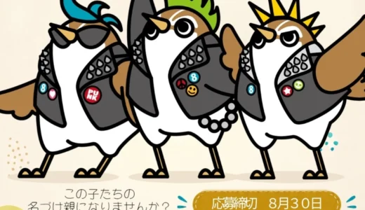 近江八幡の地域ブランド「はちまんもん」│キャラクター名募集キャンペーン［名付け親になった方には「NintendoSwitch 2」をプレゼント！］