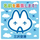 三沢空港「空の逸品」コンテスト特別企画 スカイマート・ビードル公式キャラクター ネーミング大募集！［賞 空港ショップ商品券1万円分］