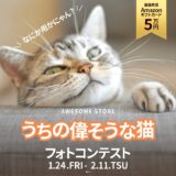 【募集終了】オーサムストア│＼なにか用にゃん？／ うちの偉そうな猫 フォトコンテスト［最優秀賞 Amazonギフトカード5万円分］