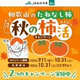 【10/31まで!! えらべるPay2,000ポイントほかが抽選で30名様に当たる！】JAわかやま│毎日食べたい！和歌山のたねなし柿 秋の柿活キャンペーン