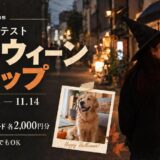 CamsComs（カムズコムズ）フォトコンテスト「ハロウィーン スナップ」［入賞5作品にAmazonギフトカード総額10,000円分プレゼント！］