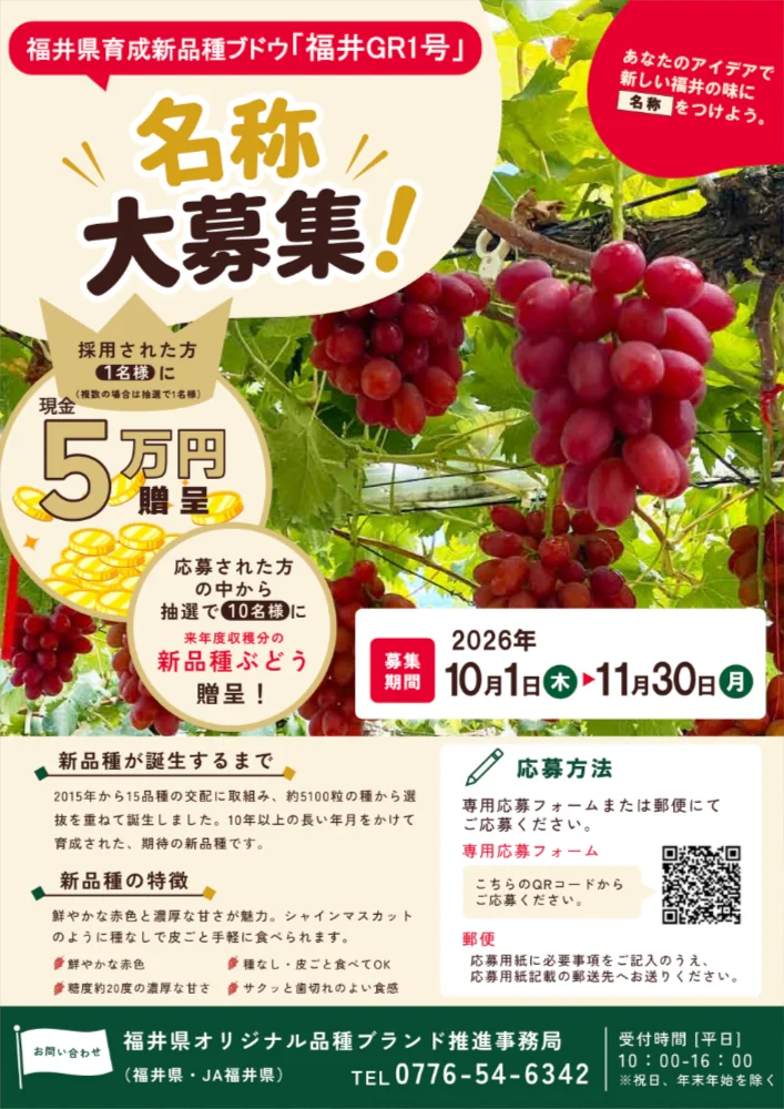 福井県育成新品種「福井GR1号」の名称を募集します！！［入選者 賞金5万円］