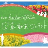 【募集終了】秦野市役所│第2回 hadastagram（ハダスタグラム）写真・動画コンテスト［賞金5万円 / 賞金10万円］