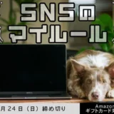 ※募集終了【女性・年齢限定公募】かがみよかがみ編集部│「SNSのマイルール」エッセイ募集［賞 アマゾンギフト券500円分］
