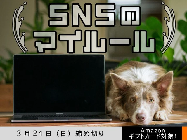※募集終了【女性・年齢限定公募】かがみよかがみ編集部│「SNSのマイルール」エッセイ募集［賞 アマゾンギフト券500円分］