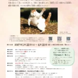 【アマチュア限定公募】大佛次郎記念館│大佛次郎×ねこ写真展2027［作品展示・各賞&賞品あり］