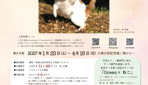 【アマチュア限定公募】大佛次郎記念館│大佛次郎×ねこ写真展2027［作品展示・各賞&賞品あり］