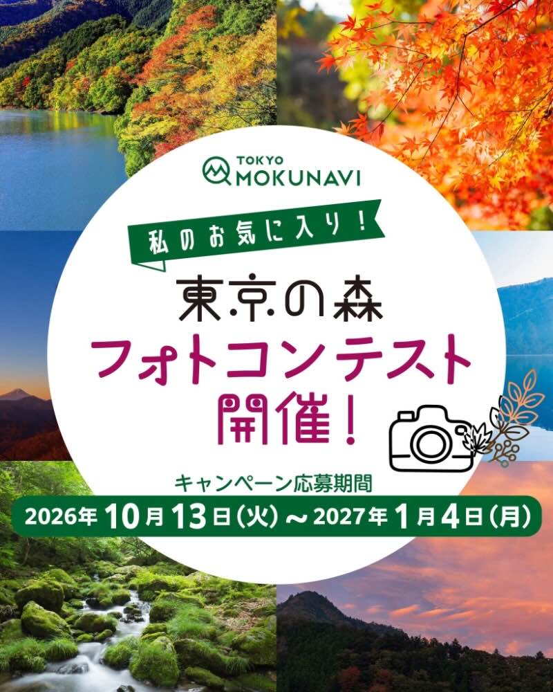TOKYO MOKUNAVI│私のお気に入り！東京の森 フォトコンテスト［グランプリ 『日本時計 刻（KOKU）シリーズ 麻の葉』または『檜原村産ヒノキ使用 扇風木』どちらかお好きな方をプレゼント！］